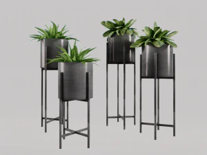Decorative plants 3D Model