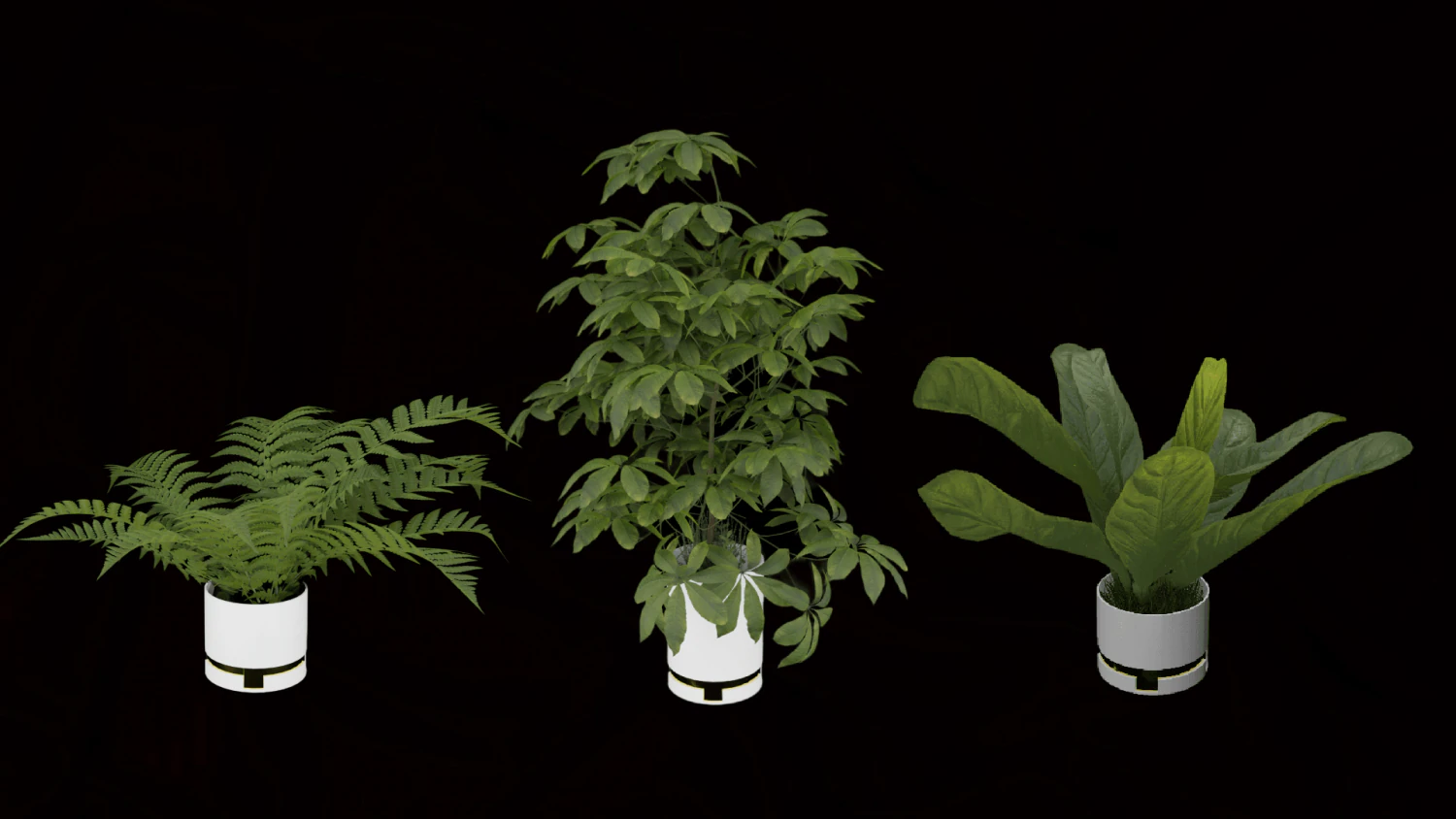 Vase indoor plant Collection 3D Model .c4d .max .obj .3ds .fbx .stl .blend