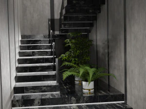Vase indoor plant Collection 3D Model