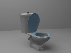 Toilet Model 3D