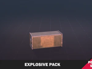 Explosive Pack 3D Model