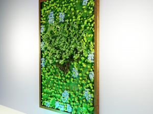 Designer stabilized moss 3D Модель