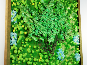 Designer stabilized moss 3D Модель