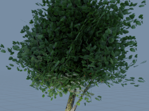 Low poly tree 3D Модель