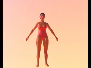 Baywatch-swimsuit 3D Model