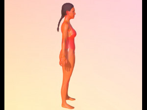 Baywatch-swimsuit 3Dモデル