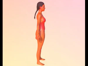 Baywatch-swimsuit 3D Model
