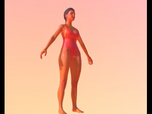 Baywatch-swimsuit 3Dモデル