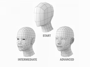 Natural Female and Male Base Mesh in A Pose BUNDLE Model 3D