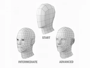 Nat&uuml;rliches weibliches und m&auml;nnliches Basisnetz in einem Posenpaket 3D Modell