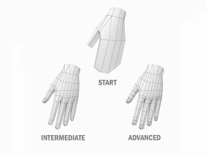 Nat&uuml;rliches weibliches und m&auml;nnliches Basisnetz in einem Posenpaket 3D Modell