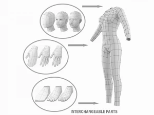 Nat&uuml;rliches weibliches und m&auml;nnliches Basisnetz in einem Posenpaket 3D Modell