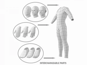 Nat&uuml;rliches weibliches und m&auml;nnliches Basisnetz in einem Posenpaket 3D Modell