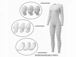 Nat&uuml;rliches Weibchen und M&auml;nnchen in Ruhehaltung, Basis-Mesh-B&uuml;ndel 3D Modell