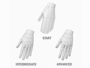Natural Female and Male in T-Pose Base Mesh BUNDLE Modello 3D