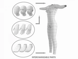 T-Pose Taban Meshinde Doğal Kadın ve Erkek PAKET 3D Model