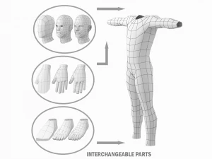 T-Pose Taban Meshinde Doğal Kadın ve Erkek PAKET 3D Model