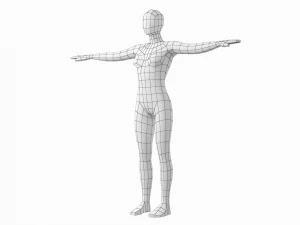 T-Pose Taban Meshinde Doğal Kadın ve Erkek PAKET 3D Model