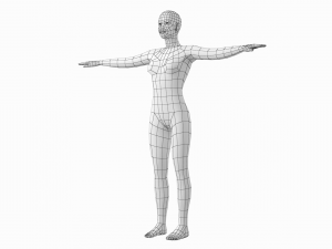 Natural Female and Male in T-Pose Base Mesh BUNDLE Modello 3D