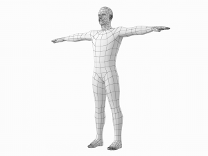 Natural Female and Male in T-Pose Base Mesh BUNDLE Modello 3D