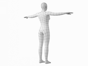Natural Female and Male in T-Pose Base Mesh BUNDLE Modello 3D