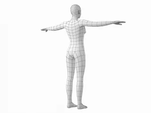 T-Pose Taban Meshinde Doğal Kadın ve Erkek PAKET 3D Model