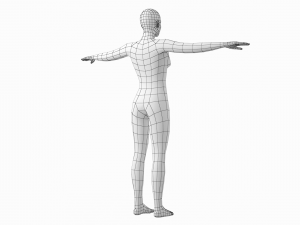 Natural Female and Male in T-Pose Base Mesh BUNDLE Modello 3D
