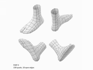 Foot Base Mesh Kit 3D 모델
