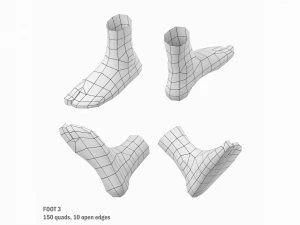 Foot Base Mesh Kit 3D Model