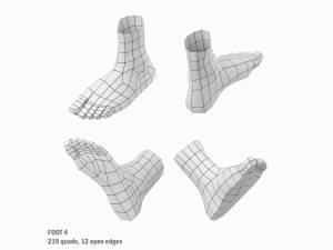 Foot Base Mesh Kit 3D 모델