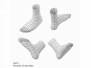 Foot Base Mesh Kit 3D Model