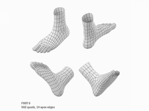 Foot Base Mesh Kit 3D 모델