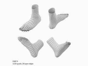 Foot Base Mesh Kit 3D 모델