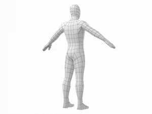 Macho Natural em 3 Poses de Modelagem Malha Base Modelo 3D
