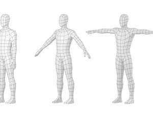 Macho Natural em 3 Poses de Modelagem Malha Base Modelo 3D