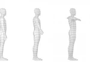 Macho Natural em 3 Poses de Modelagem Malha Base Modelo 3D