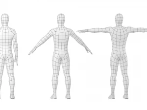 Macho Natural em 3 Poses de Modelagem Malha Base Modelo 3D