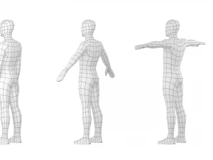 Macho Natural em 3 Poses de Modelagem Malha Base Modelo 3D