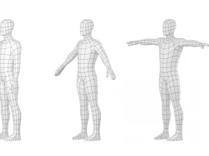 Macho Natural em 3 Poses de Modelagem Malha Base Modelo 3D