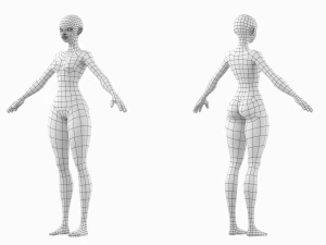 Stylizowana siatka damska 02 o drobnym kształcie Model 3D