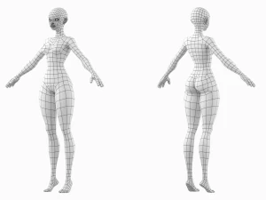 Stylizowana siatka damska 02 o drobnym kształcie Model 3D