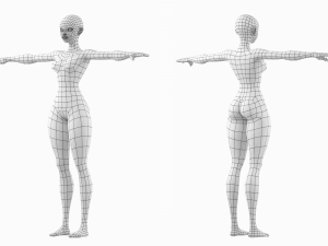 Stylized Female 02 Fine Shape Mesh 3D Model