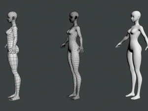 Stylizowana siatka damska 02 o drobnym kształcie Model 3D