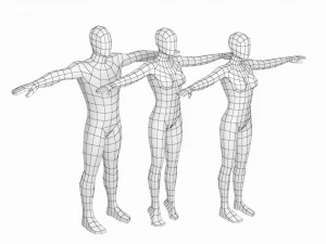 टी-पोज़ बेस मेश में प्राकृतिक महिला और पुरुष 3D मॉडल