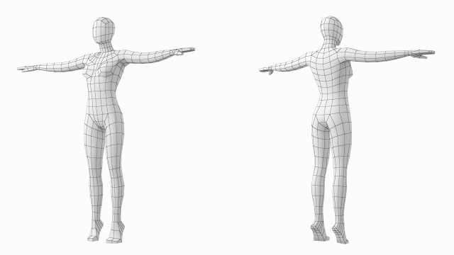 Natural Female and Male in T-Pose Base Mesh 3D model | CGTrader