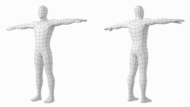 Frontiers | Inside Humans: Creating a Simple Layered Anatomical Model from  Human Surface Scans