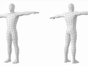 टी-पोज़ बेस मेश में प्राकृतिक महिला और पुरुष 3D मॉडल