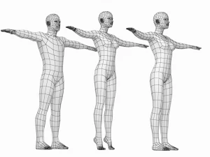 Femmina e maschio naturali nella maglia base T-Pose Modello 3D