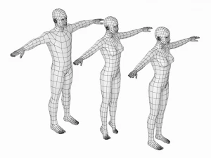 Femmina e maschio naturali nella maglia base T-Pose Modello 3D