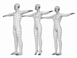 Femmina e maschio naturali nella maglia base T-Pose Modello 3D